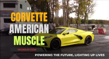 Corvette: American Muscle or Sports Car?