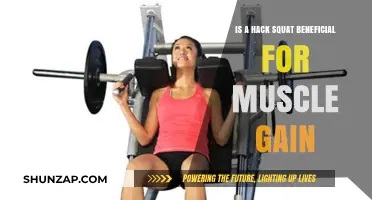 Hack Squat Benefits: Maximizing Muscle Gain in Leg Workouts