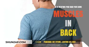 Heating Pad for Back Pain: Effective Relief or Risky Remedy?