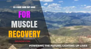 High Carb Days: Boosting Muscle Recovery After Intense Workouts?