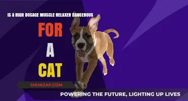 High Dosage Muscle Relaxers: Potential Dangers for Cats Explained