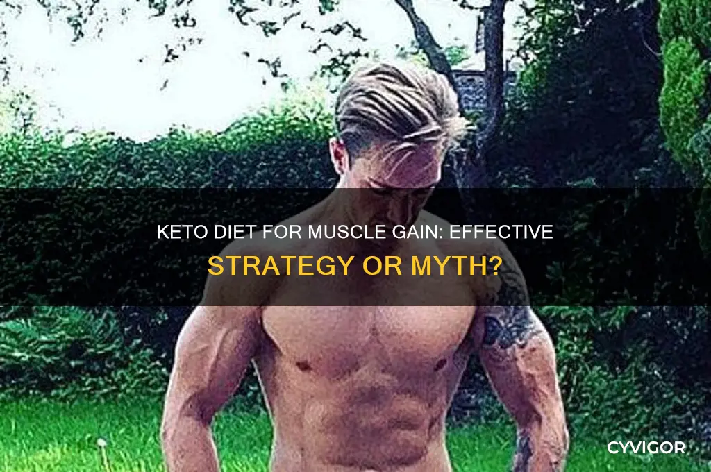 is a keto diet god for gaining muscle