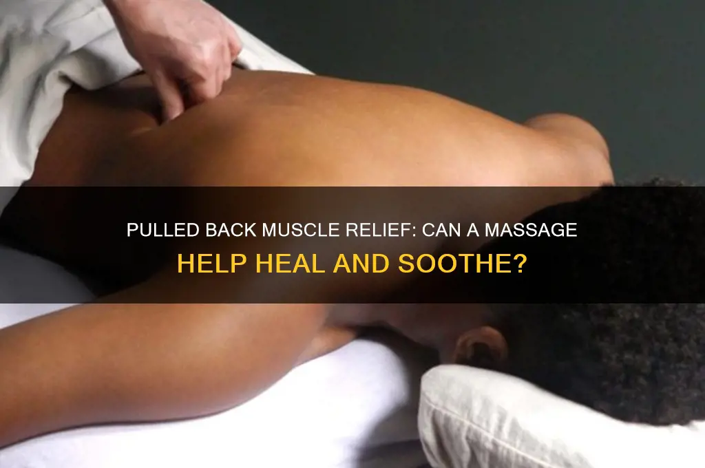 is a massage good for a pulled back muscle