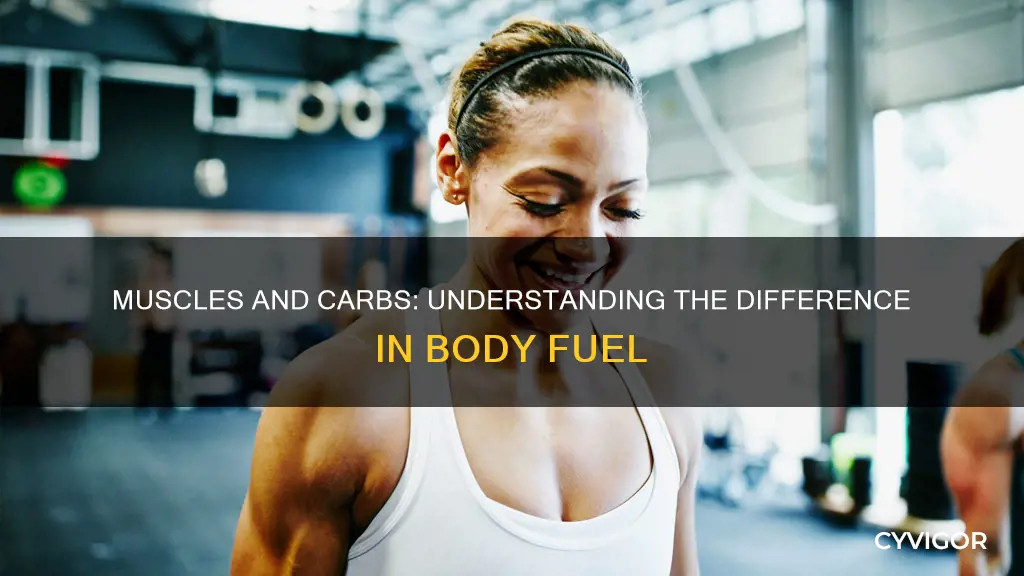 is a muscle a carb