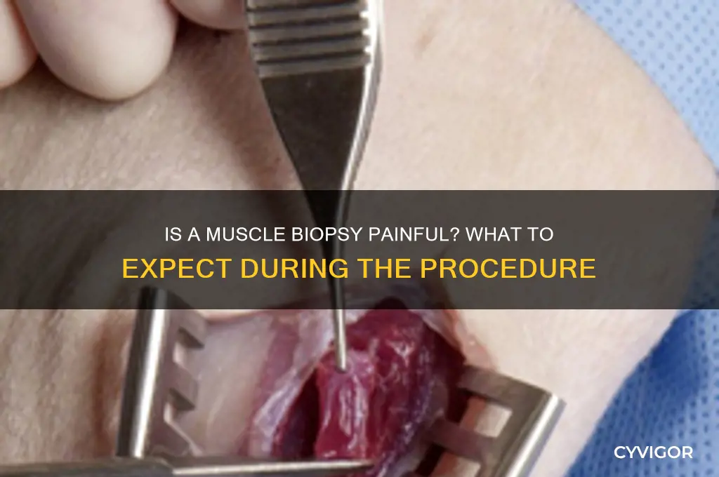 is a muscle biopsy painful