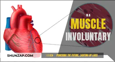 Muscle Involuntary: What You Need to Know