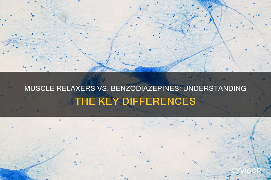 is a muscle relaxer a benzo