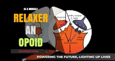 Muscle Relaxers vs. Opioids: Understanding the Key Differences