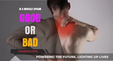 Muscle Spasms: Understanding Their Impact on Health and Wellness