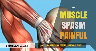 Understanding Muscle Spasms: Causes, Pain Levels, and Effective Relief Strategies