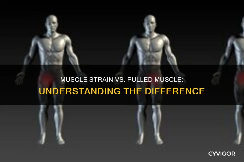 is a muscle strain and pulled muscle the same