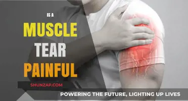 Is a Muscle Tear Painful? Understanding Symptoms and Recovery