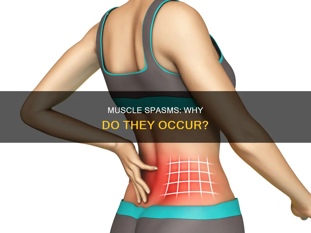 is a painful localized muscle spasm named for its cause