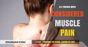 Pinched Nerve vs. Muscle Pain: Understanding the Key Differences