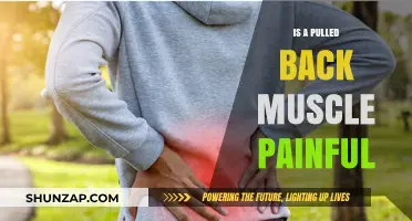 Pulled Back Muscle Pain: Causes, Symptoms, and Relief Explained