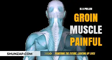 Pulled Groin Muscle Pain: Symptoms, Causes, and Recovery Tips