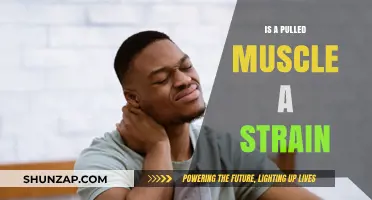 Pulled Muscle vs. Strain: Understanding the Difference and Recovery Tips