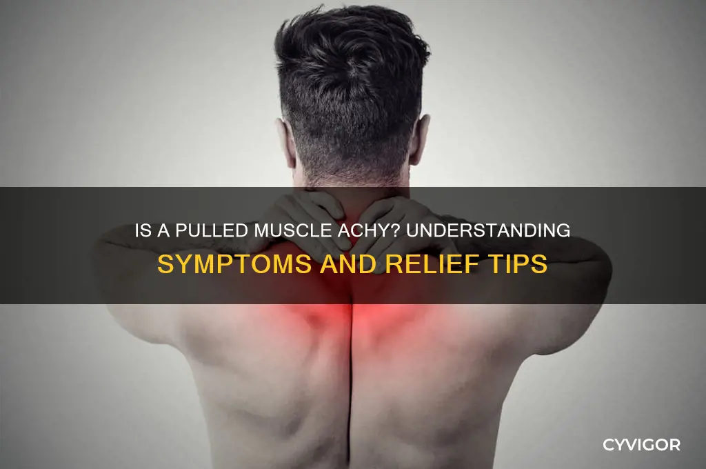 is a pulled muscle achy
