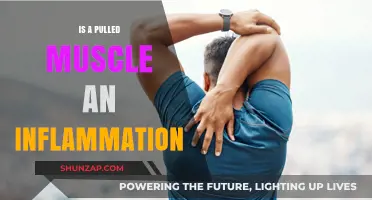 Pulled Muscle and Inflammation: Understanding the Connection and Recovery
