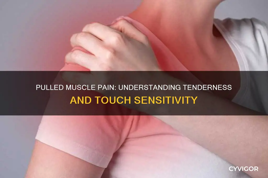 is a pulled muscle sore to the touch