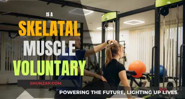 Skeletal Muscles: Our Voluntary Superheroes?