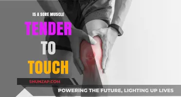 Sore Muscles: Understanding Tenderness to Touch and Recovery Tips