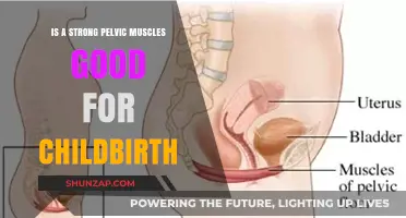 Strong Pelvic Muscles: Enhancing Childbirth Experience and Recovery Benefits