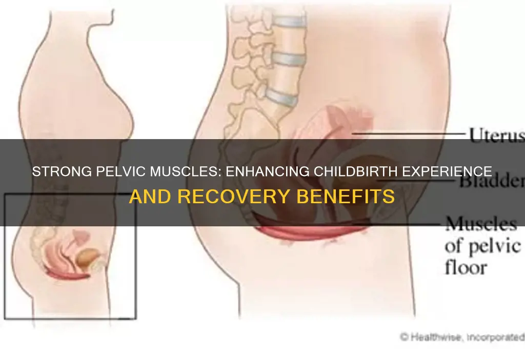 is a strong pelvic muscles good for childbirth