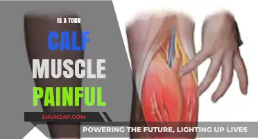 Torn Calf Muscle Pain: Symptoms, Severity, and Recovery Insights
