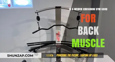Weider Crossbow Gym: Effective for Strengthening Back Muscles?