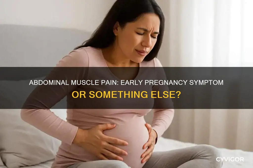 is abdominal muscle pain a sign of pregnancy