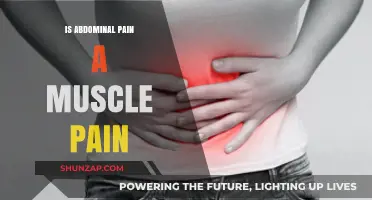 Abdominal Pain vs. Muscle Pain: Understanding the Difference and Causes