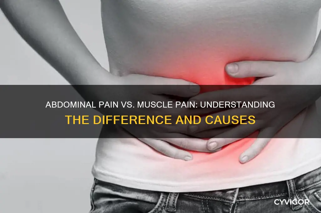 is abdominal pain a muscle pain