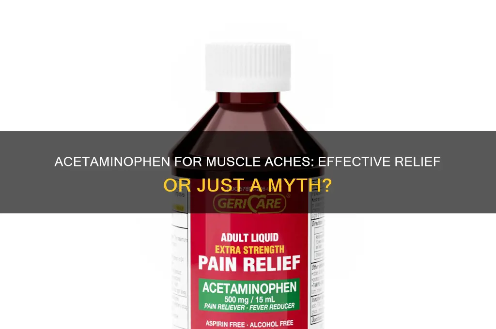 is acetaminophen good for muscle aches
