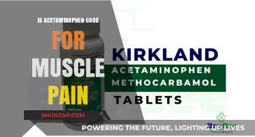 Acetaminophen for Muscle Pain: Effective Relief or Just a Myth?