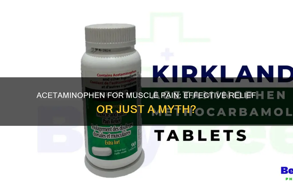 is acetaminophen good for muscle pain
