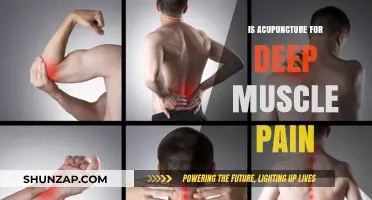 Acupuncture for Deep Muscle Pain: Effective Relief or Myth?