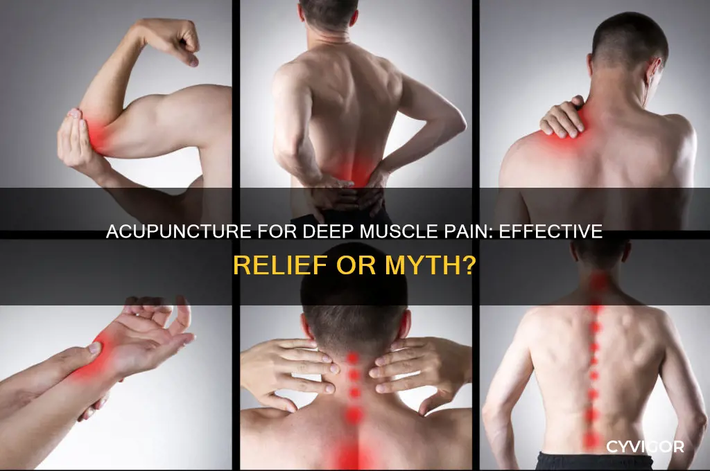 is acupuncture for deep muscle pain