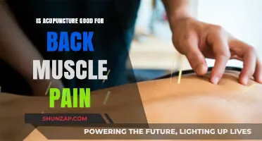 Acupuncture for Back Muscle Pain: Effective Relief or Myth?