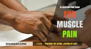 Acupuncture for Muscle Pain: Effective Relief or Just a Myth?