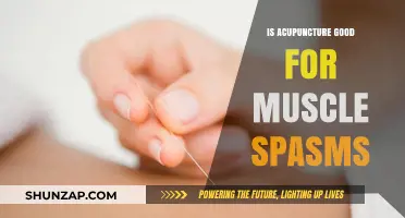 Acupuncture for Muscle Spasms: Effective Relief or Alternative Therapy?