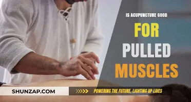Acupuncture for Pulled Muscles: Effective Relief or Just a Myth?