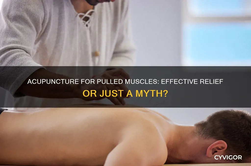 is acupuncture good for pulled muscles