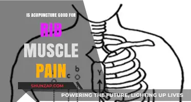 Acupuncture for Rib Muscle Pain: Effective Relief or Myth?