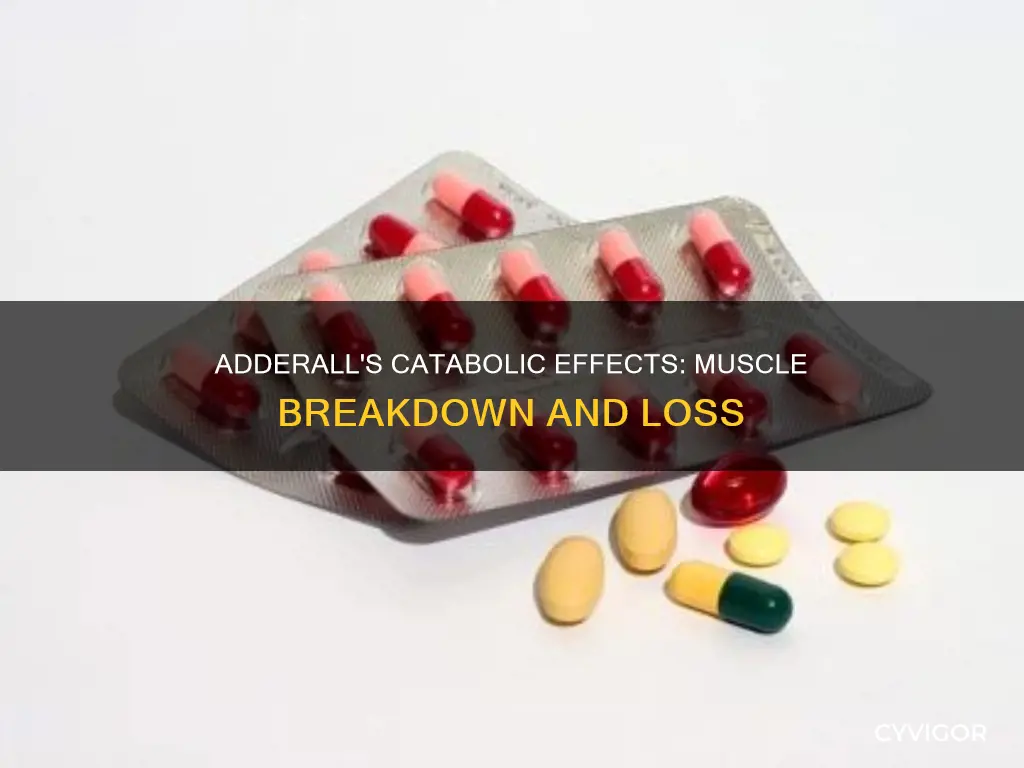 is adderall catabolic muscle
