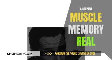 Adoptive Muscle Memory: Fact or Fiction?