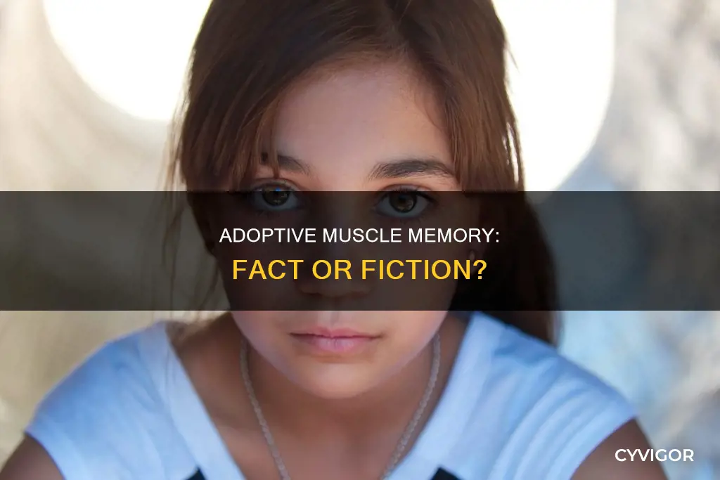 is adoptive muscle memory real
