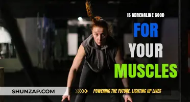 Adrenaline's Impact: Boosting Muscle Performance or Causing Strain?