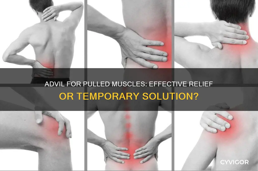 is advil good for a pulled muscle