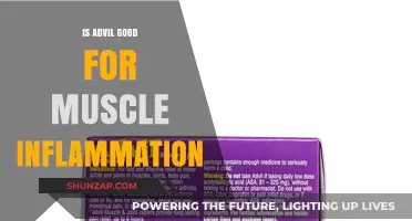 Advil for Muscle Inflammation: Benefits, Risks, and Effective Use